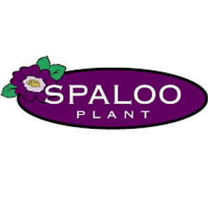 Spaloo Plant