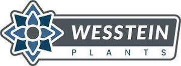 Wesstein Plants